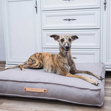 Afbeelding in Gallery-weergave laden, Tove orthopedisch design hondenkussen in kleur grijs van het merk Labvenn gepresenteerd met hond
