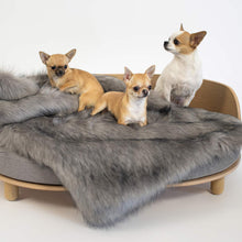 Afbeelding in Gallery-weergave laden, Het deken Föra in kleur grijs, gepresenteerd met drie honden op hondenmand Loue, allen van het merk Labvenn
