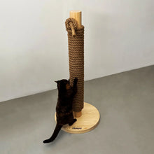Afbeelding in Gallery-weergave laden, Hoopo Totem Bruin met kat
