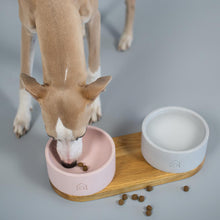 Afbeelding in Gallery-weergave laden, Vuku voederbak in betonlook met hond 
