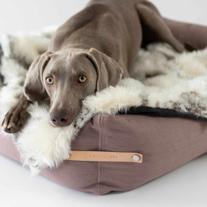 Tösse handgemaakt deken in imitatiebond met hond