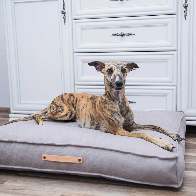 Tove orthopedisch design hondenkussen in kleur grijs van het merk Labvenn gepresenteerd met hond