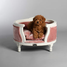 Afbeelding in Gallery-weergave laden, Roze velours mand met hond van het merk Lord Lou
