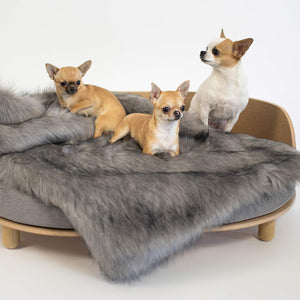 Hondenbed Loue van Labvenn in kwalitatief hout met drie chihuahua's