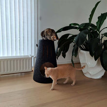 Afbeelding in Gallery-weergave laden, Foto van snori krabpaal met twee katten 
