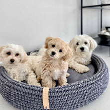 Afbeelding in Gallery-weergave laden, Hondenmand Lukko met drie hondjes
