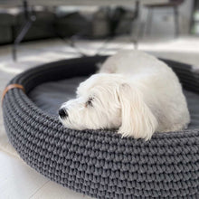 Afbeelding in Gallery-weergave laden, Hondenmand Lukko van het merk Labvenn in antraciet, gepresenteerd met hondje

