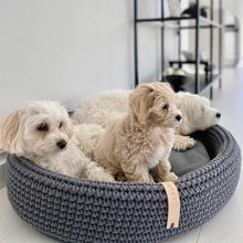 Afbeelding in Gallery-weergave laden, Hondenmand Lukko van het merk Labvenn in kleur antraciet, gepresenteerd met drie hondjes
