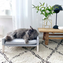 Afbeelding in Gallery-weergave laden, Mand Lulu in kleur grijs van het merk Labvenn, gepresenteerd in setting met kat
