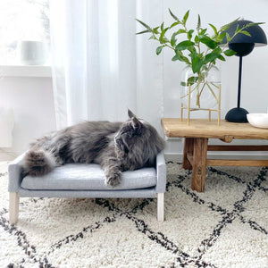 Mand Lulu in kleur grijs van het merk Labvenn, gepresenteerd in setting met kat