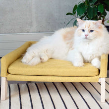 Afbeelding in Gallery-weergave laden, Mandje Lulu in kleur honing, gepresenteerd met kat, van het merk Labvenn
