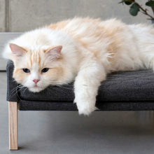 Afbeelding in Gallery-weergave laden, kattenmand Lulu van het merk Labvenn in kleur antraciet, gepresenteerd met kat
