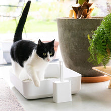 Afbeelding in Gallery-weergave laden, Hoopo Poh kattenbak in wit met kat
